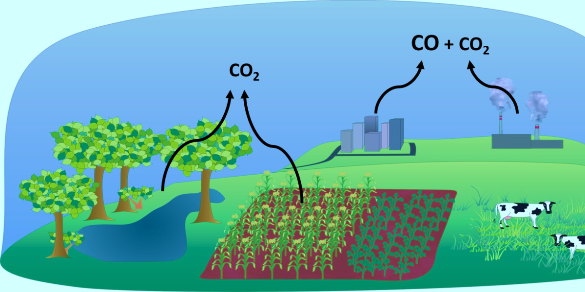 What Produces Carbon Dioxide